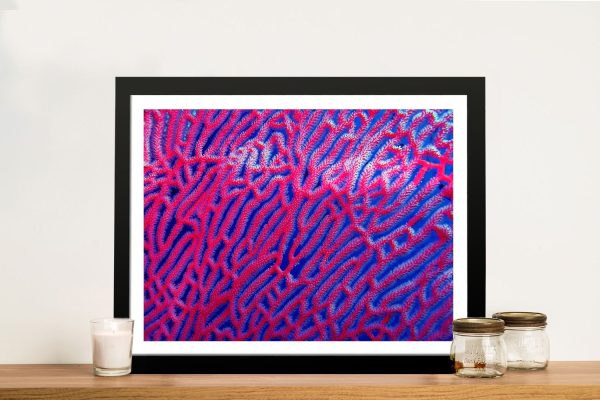 Abstract Coral colourful canvas art with vivid flowing shapes