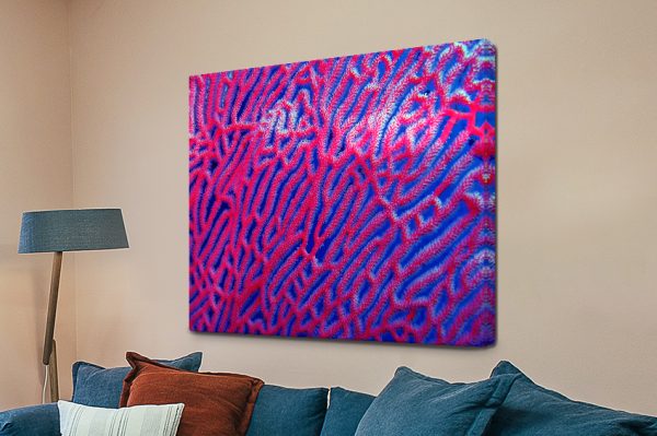 Abstract Coral canvas print, a vibrant reef abstract for a bathroom