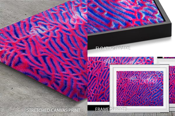 Abstract Coral art print, a colourful reef study for a bedroom