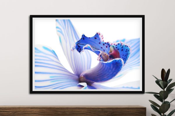 Blue Orchid Three framed floral art, a tranquil gift for a study Blue Orchid Three framed floral art, a tranquil gift for a study
