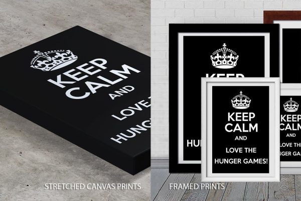 Keep Calm Hunger Games canvas print, a fun gift for a teen bedroom feature wall