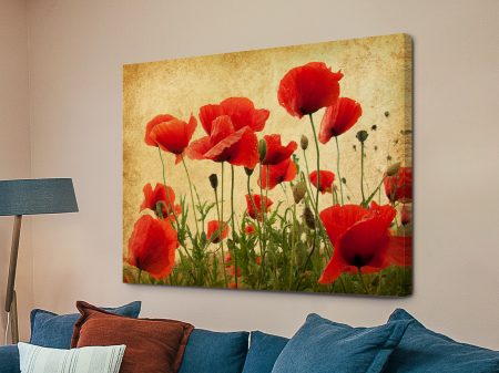 Vintage Poppies floral canvas art, a soft botanical gift for a bedroom