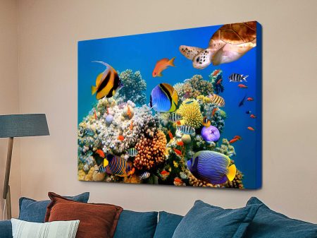 Coralscape underwater scene, vibrant coral reef teeming with colour beneath clear water