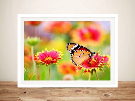 Butterfly and Blooms floral canvas, a pretty nature gift for a bedroom