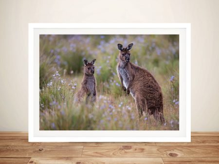 Inquisitive Kangaroos framed art, a native wildlife gift for a study Inquisitive Kangaroos framed art, a native wildlife gift for a study