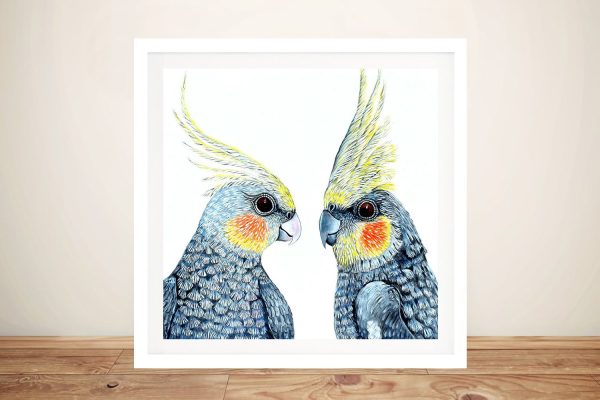 Cheeky Cockatiels framed art, playful native birds in bright cheerful colour