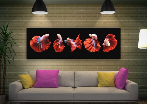 Siamese fighting fish panoramic canvas, a bright gift for a home office wall