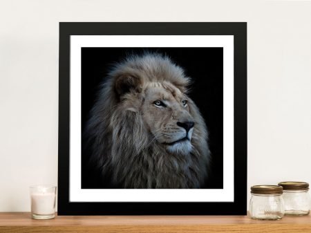 The Lion's Pride framed wildlife art, a bold animal kingdom gift for a study