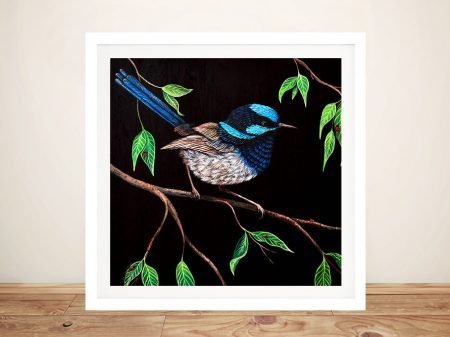 Fairy Wren framed canvas, a charming Australian wildlife gift for a bedroom Fairy Wren framed canvas, a charming Australian wildlife gift for a bedroom