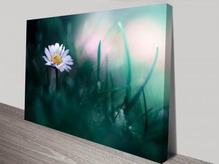 Daisy Morning Dew canvas print, designer statement artwork Daisy Morning Dew canvas print, designer statement artwork