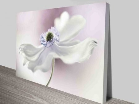 Anemone Breeze Preview framed print, designer statement artwork Anemone Breeze Preview framed print, designer statement artwork