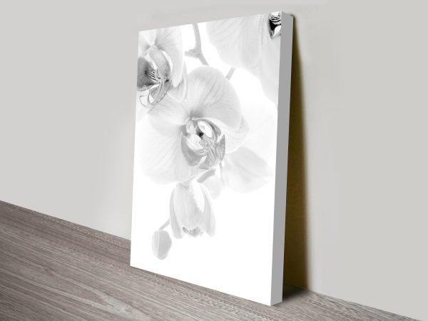 Orchid canvas print, striking black and white floral wall art Orchid canvas print, striking black and white floral wall art