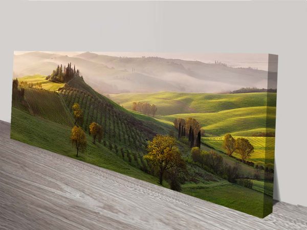 French Vinyard Panoramic canvas art, designer statement artwork French Vinyard Panoramic canvas art, designer statement artwork