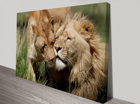Lovers Plains Wlal fine art print, animal portrait artwork