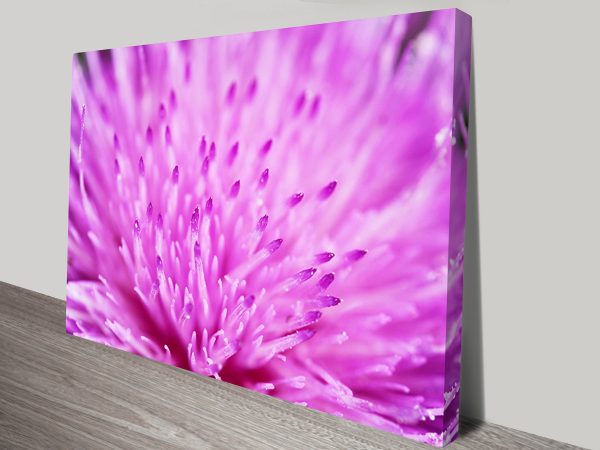 Macro pink floral canvas print, a soft botanical gift for a bedroom