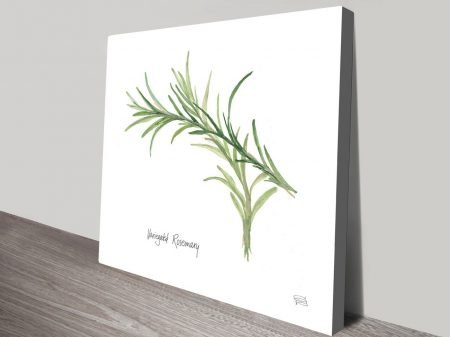 Variegated Rosemary fine art print, curated gallery artwork Variegated Rosemary fine art print, curated gallery artwork