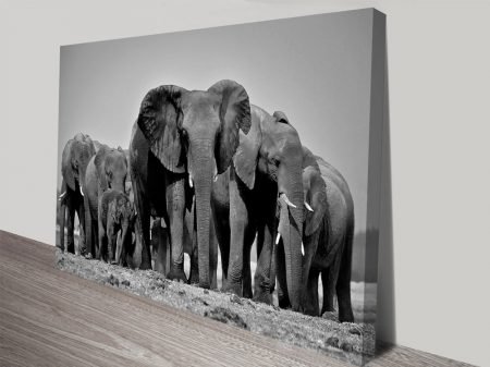 Wandering Herd photo canvas, elephants crossing open golden savannah