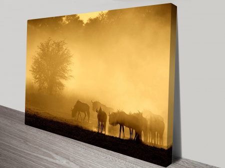 Wildebeest Sunset Smaller canvas art, natural-history wildlife artwork Wildebeest Sunset Smaller canvas art, natural-history wildlife artwork